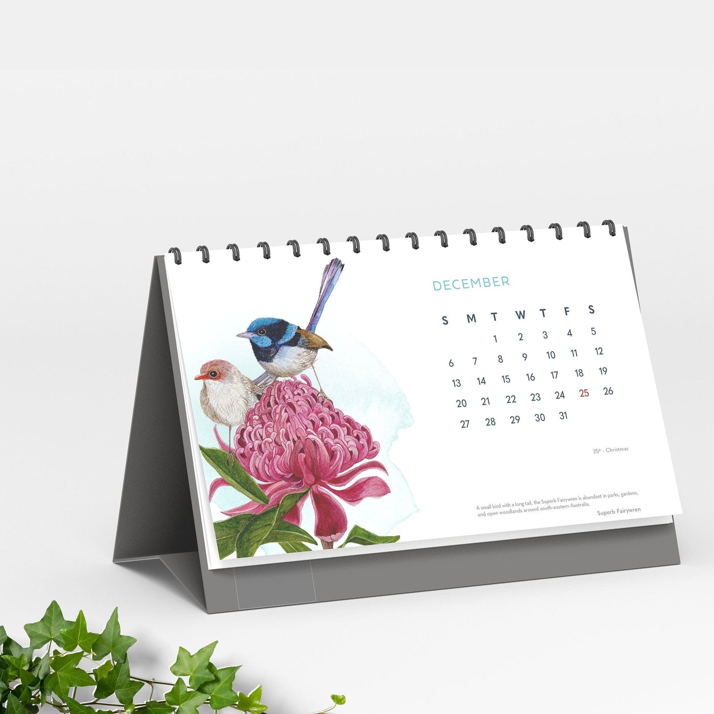 Studio Decorai Secret Garden - 2026 Desk Calendar - Nature-inspired art for everyday calm