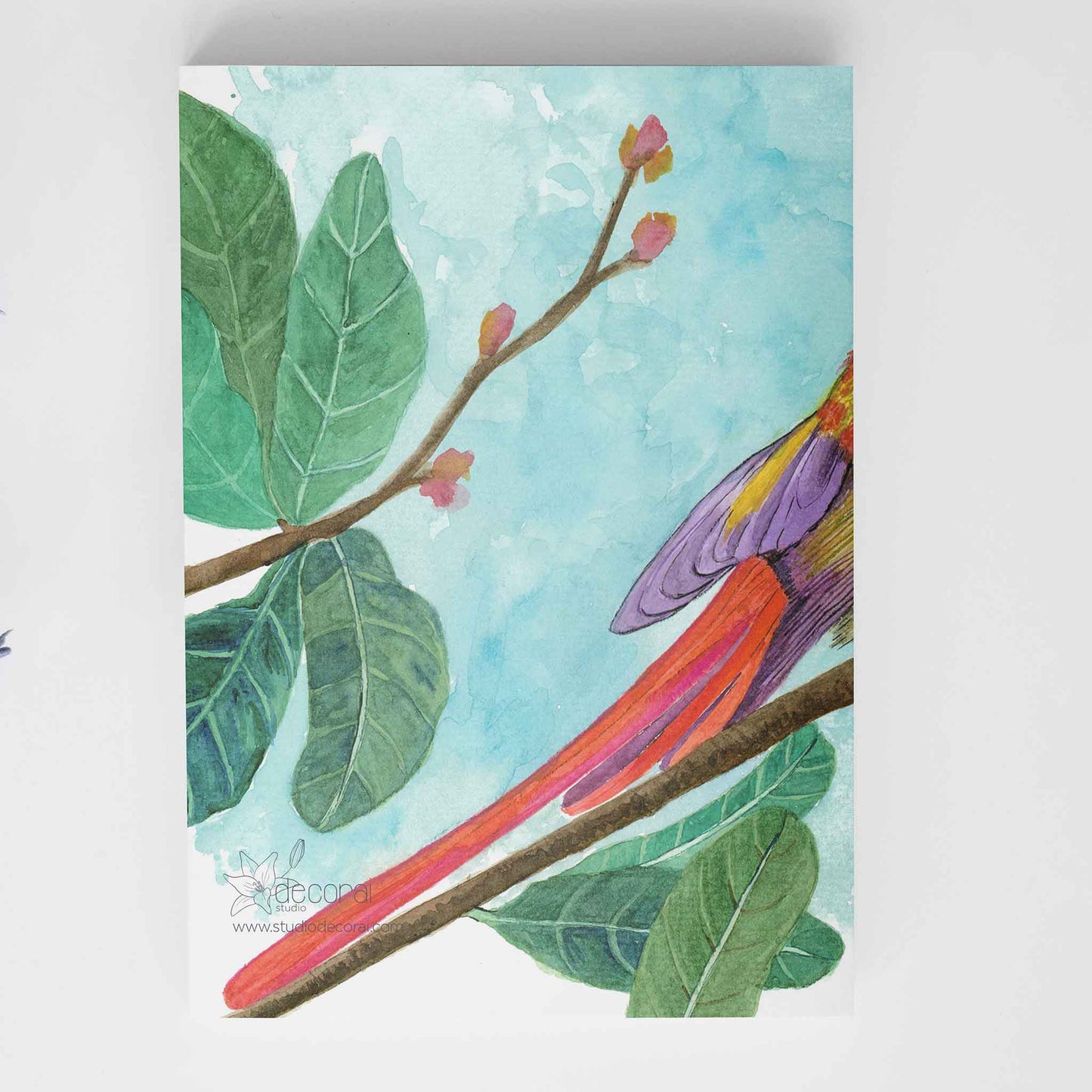 Studio Decorai Sunbird Song - Notebook