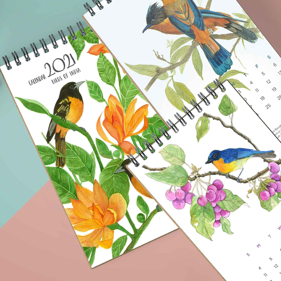 Birds of India 2021 Calendar featured by Mid Day
