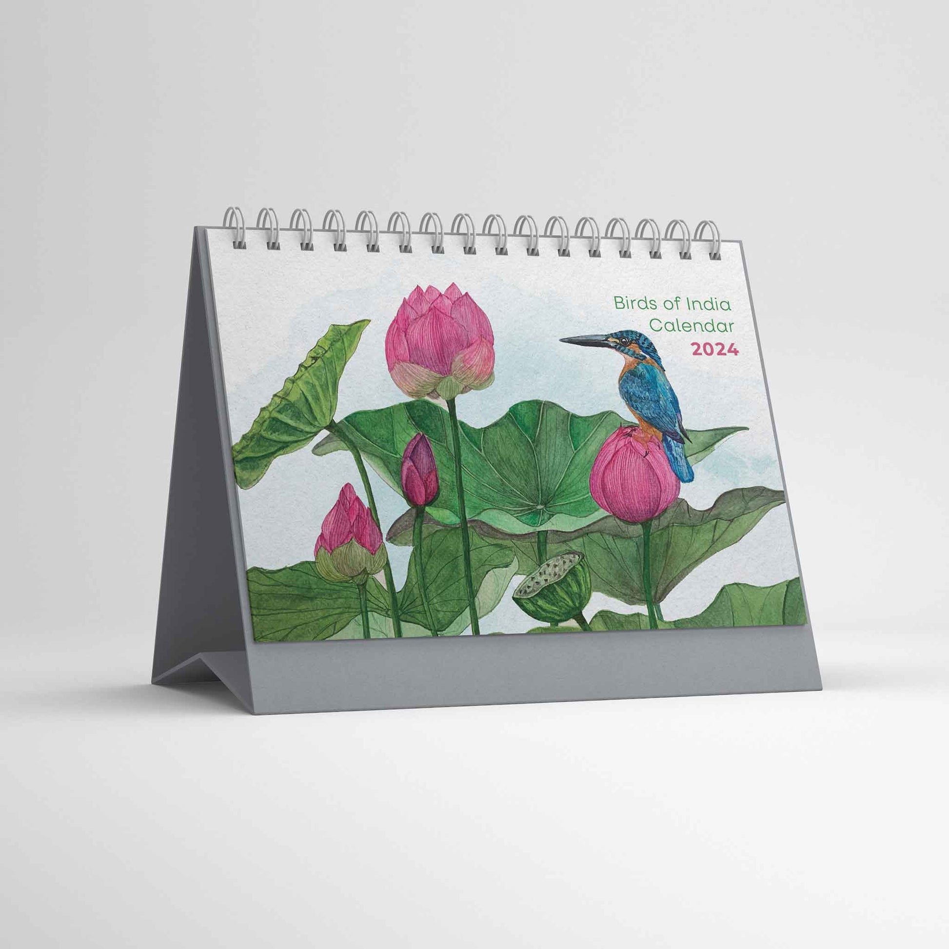 Studio Decorai Birds of India - 2024 Desk Calendar