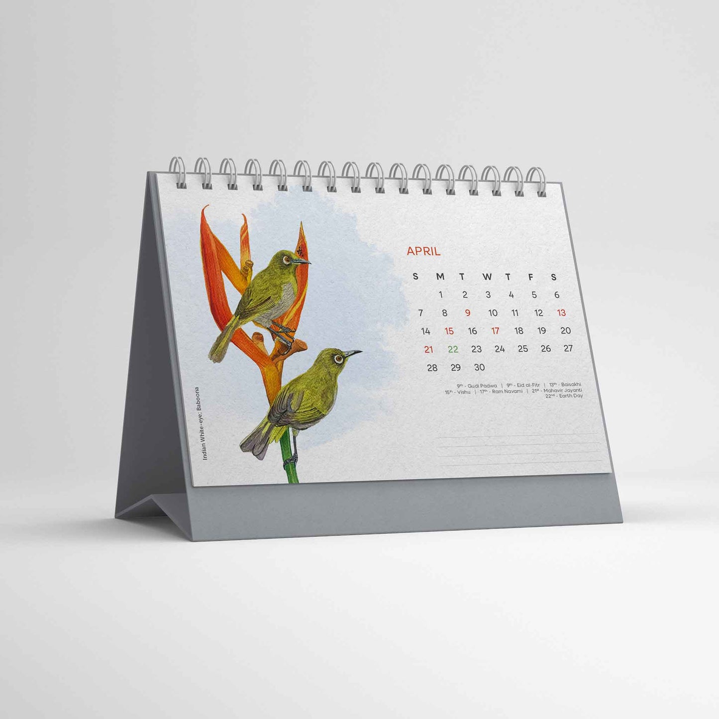 Studio Decorai Birds of India - 2024 Desk Calendar