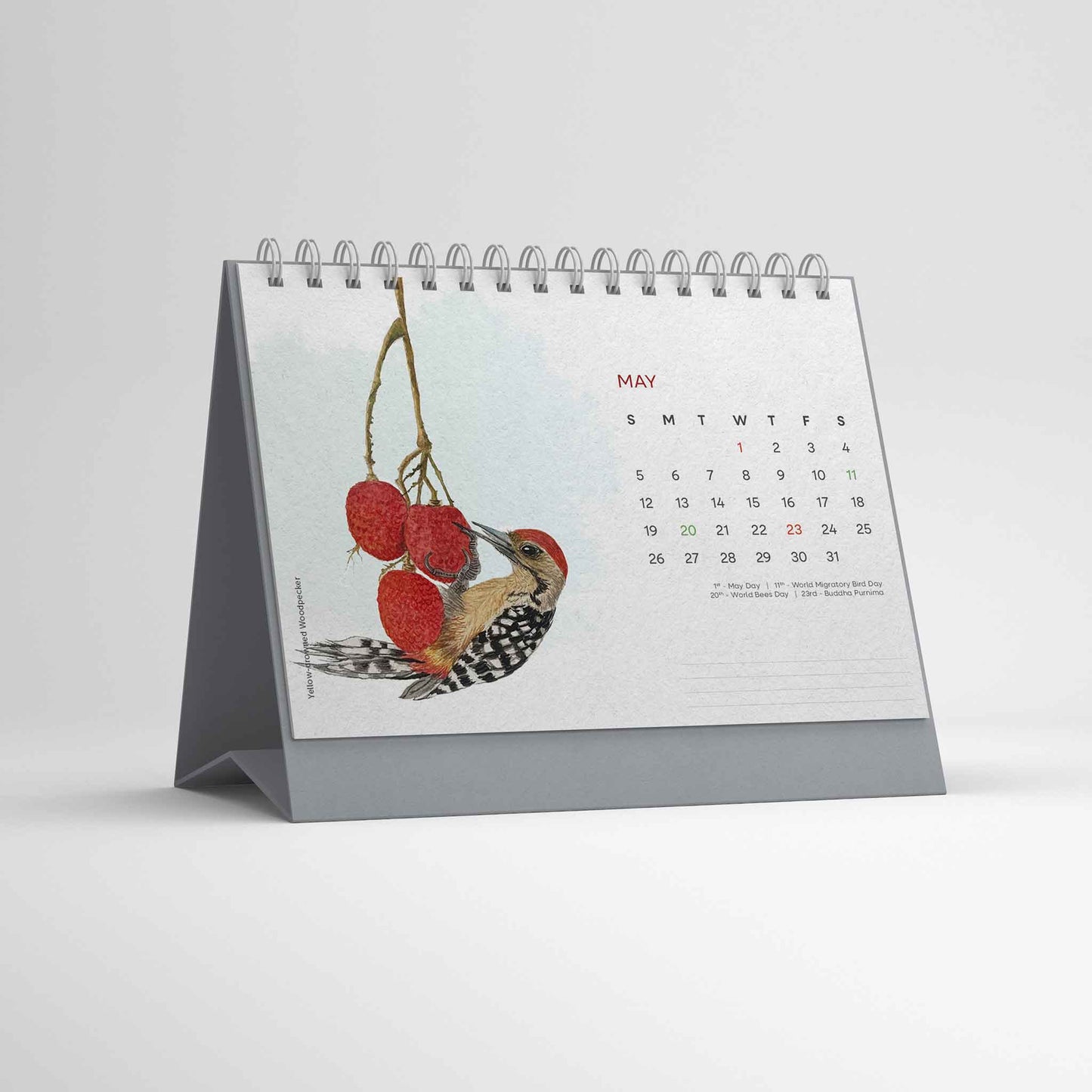 Studio Decorai Birds of India - 2024 Desk Calendar