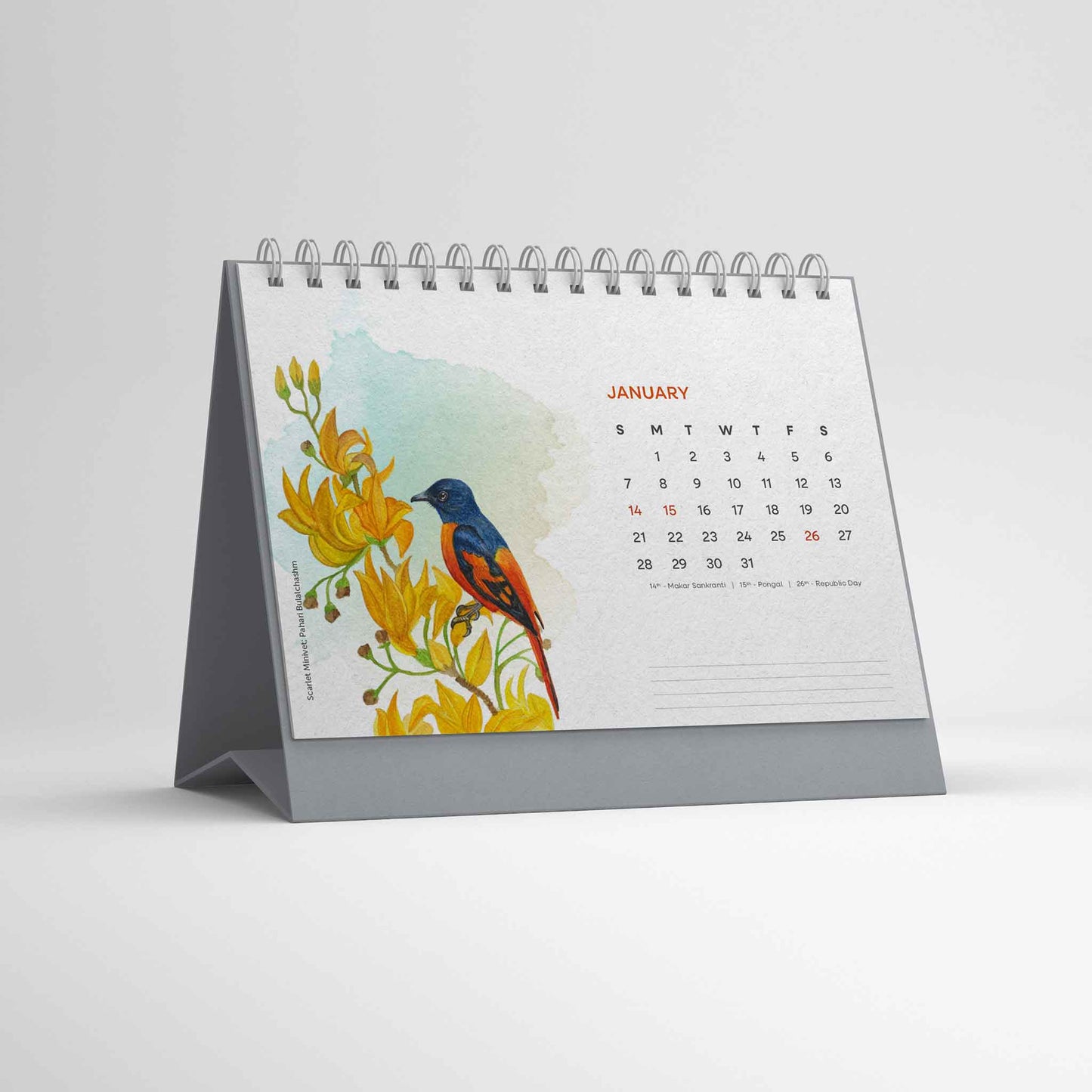 Studio Decorai Birds of India - 2024 Desk Calendar