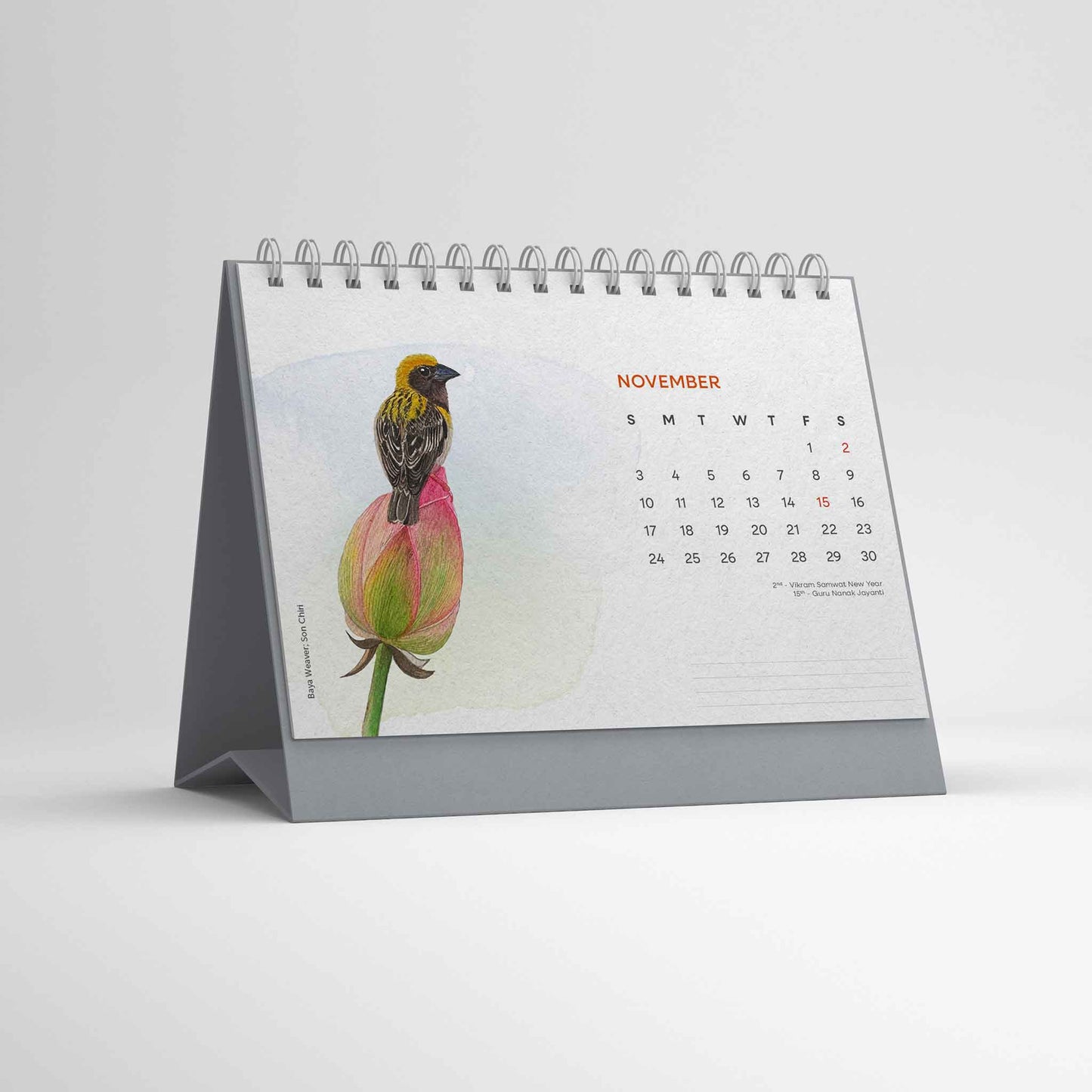 Studio Decorai Birds of India - 2024 Desk Calendar