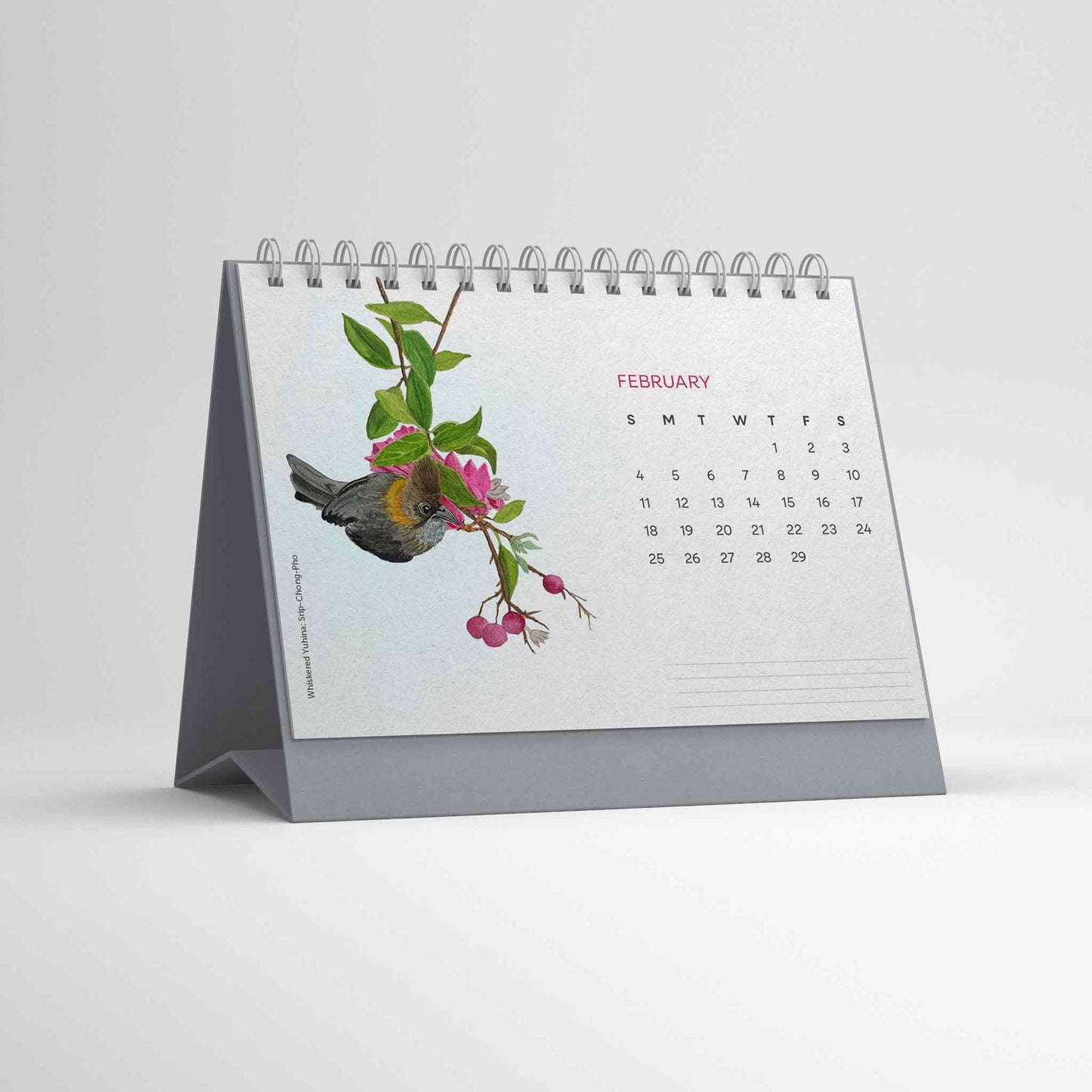 Studio Decorai Birds of India - 2024 Desk Calendar