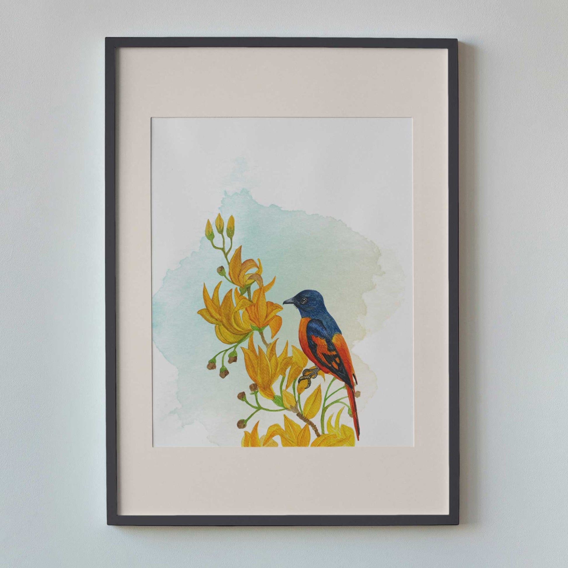 Studio Decorai Birds of India - Scarlet Minivet - Art Prints
