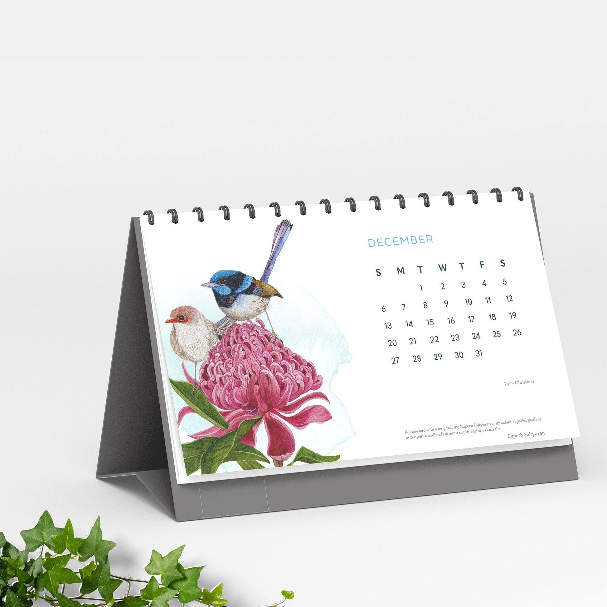 Studio Decorai Secret Garden - 2026 Desk Calendar - Nature-inspired art for everyday calm