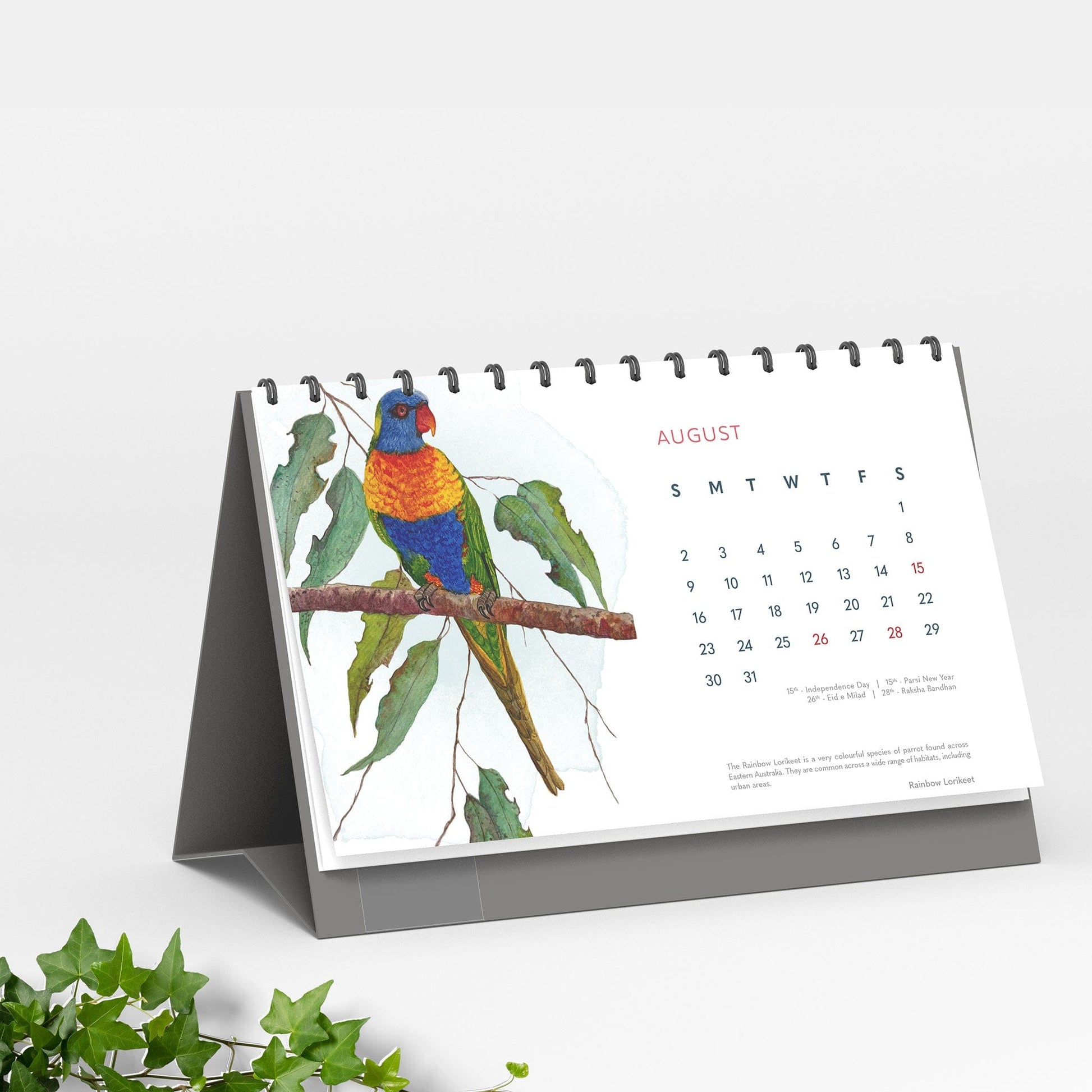 Studio Decorai Secret Garden - 2026 Desk Calendar - Nature-inspired art for everyday calm