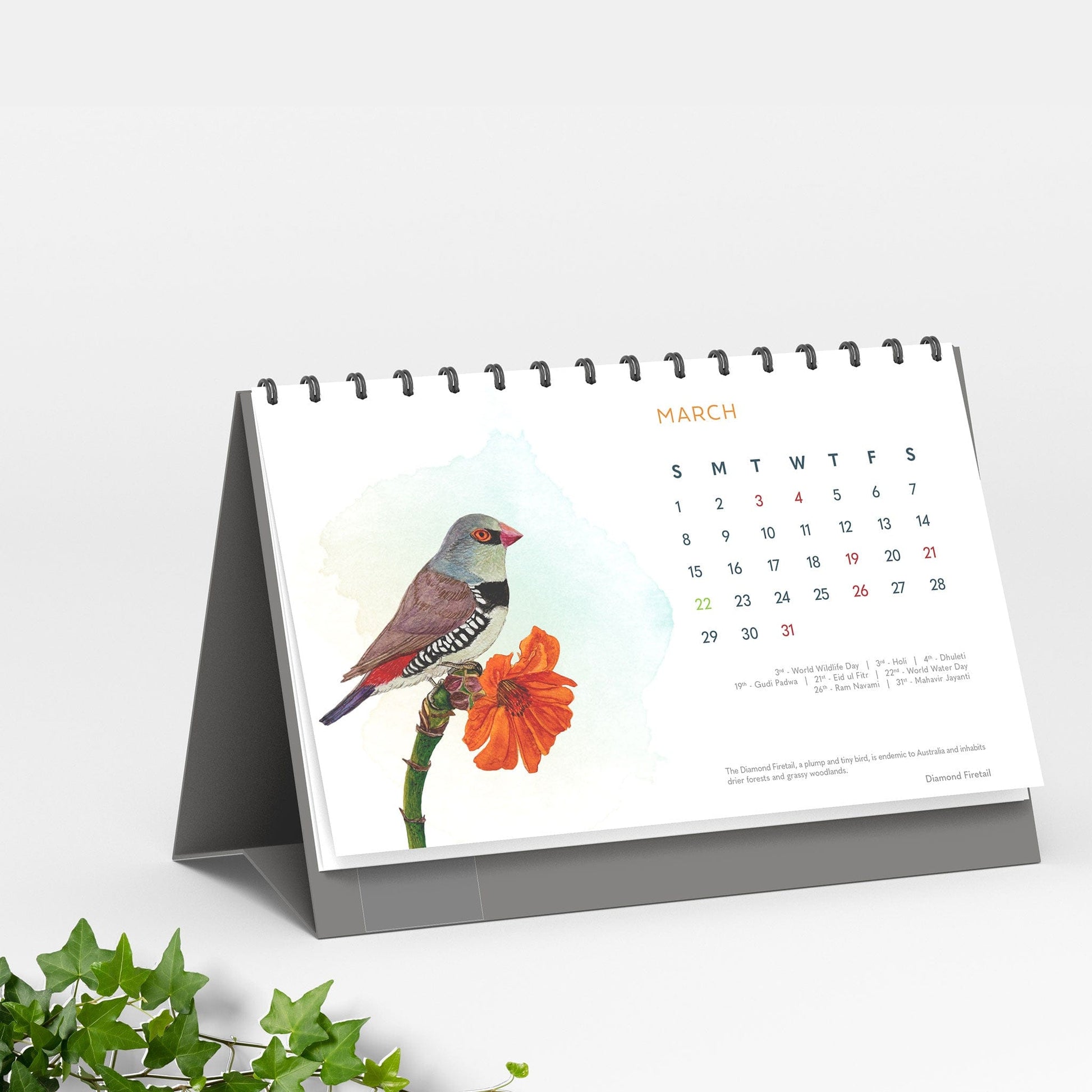 Studio Decorai Secret Garden - 2026 Desk Calendar - Nature-inspired art for everyday calm