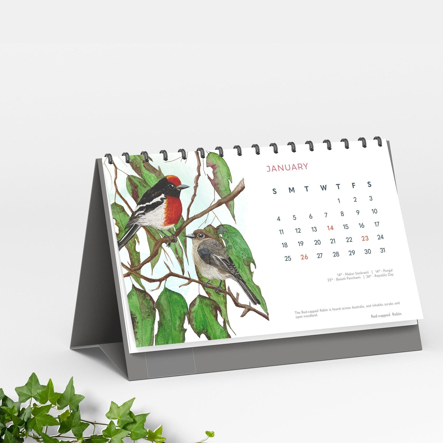 Studio Decorai Secret Garden - 2026 Desk Calendar - Nature-inspired art for everyday calm