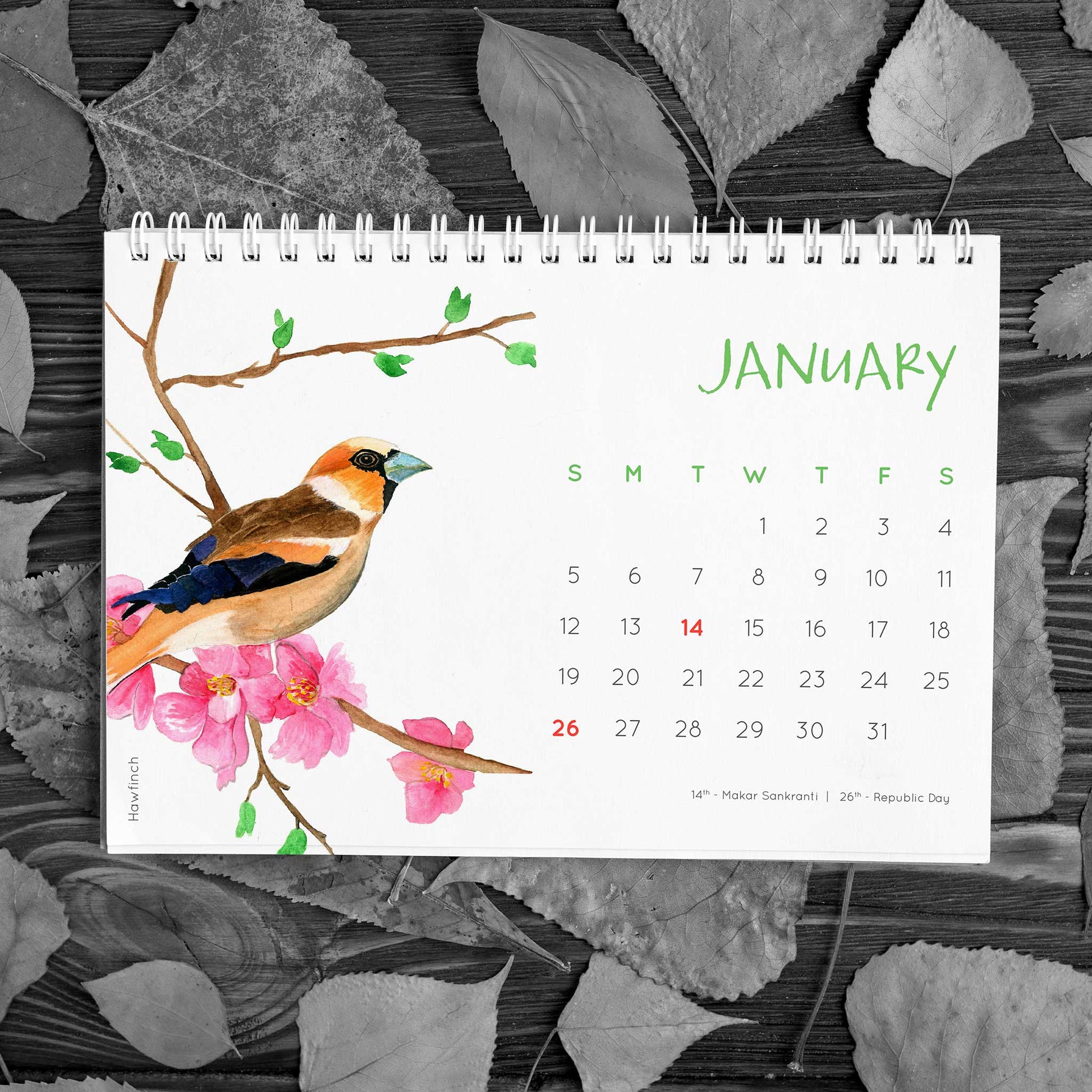 Birds of India 2020 Desk Calendar