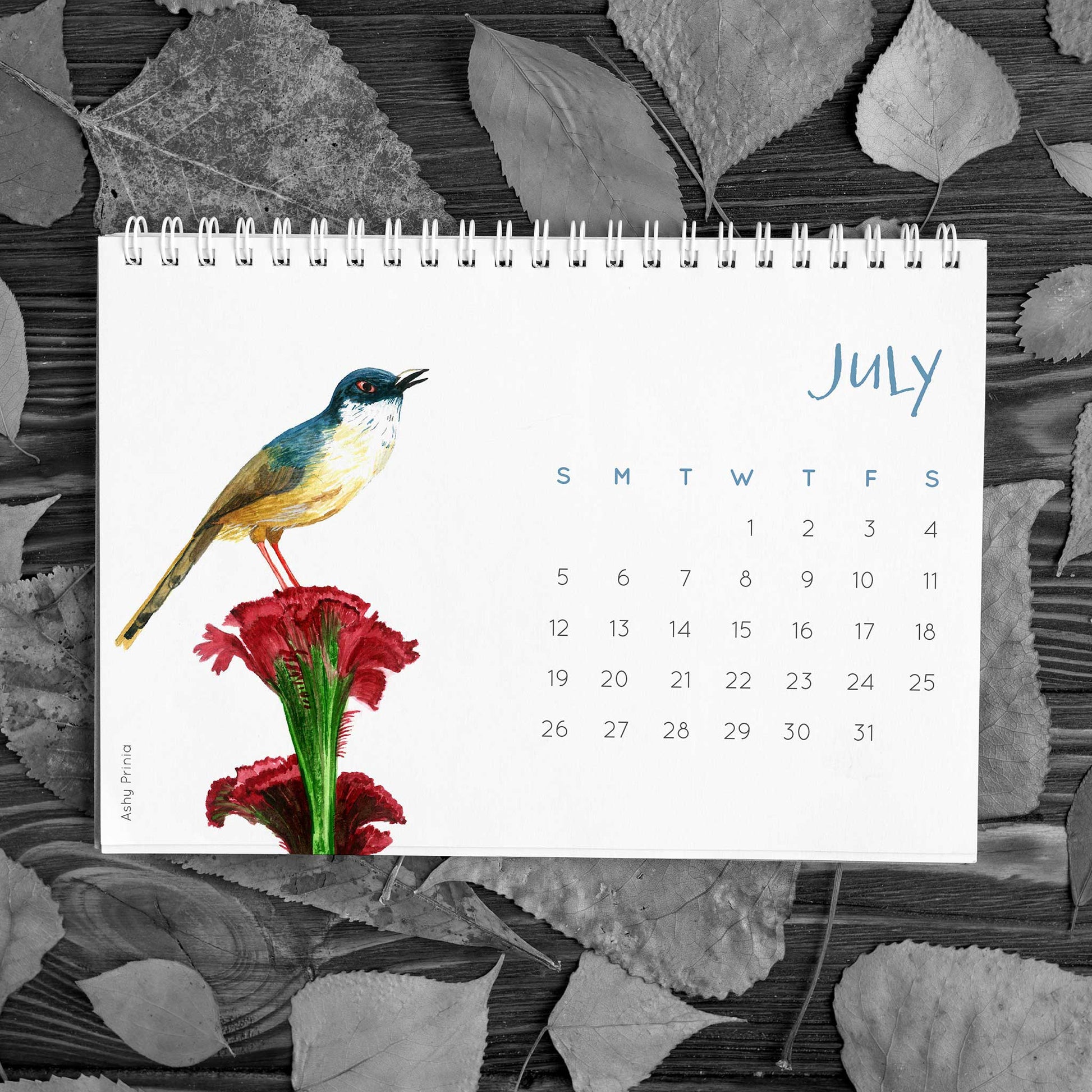 Birds of India 2020 Desk Calendar