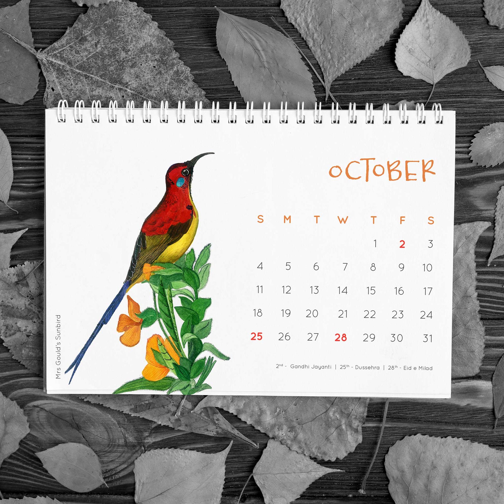 Birds of India 2020 Desk Calendar