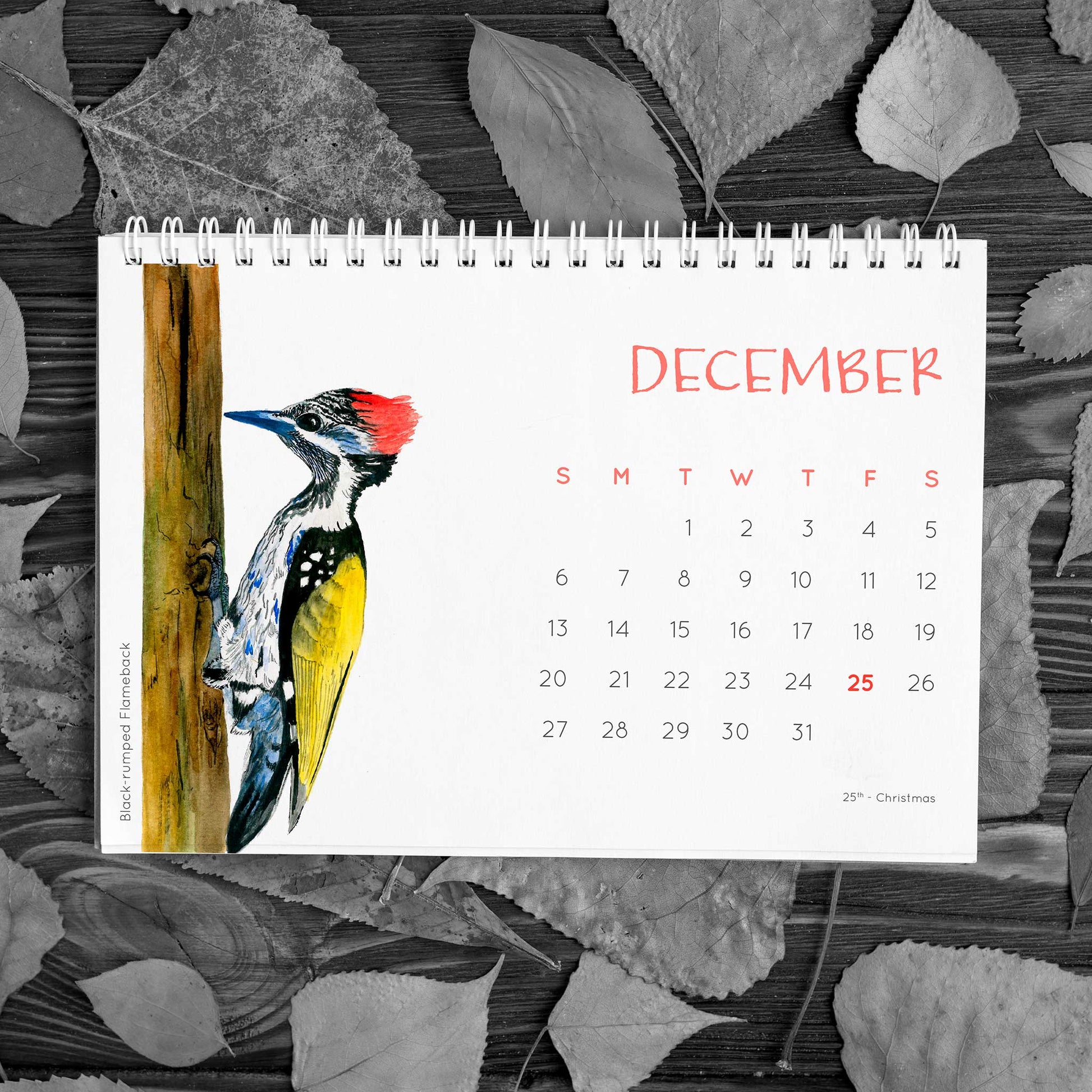 Birds of India 2020 Desk Calendar