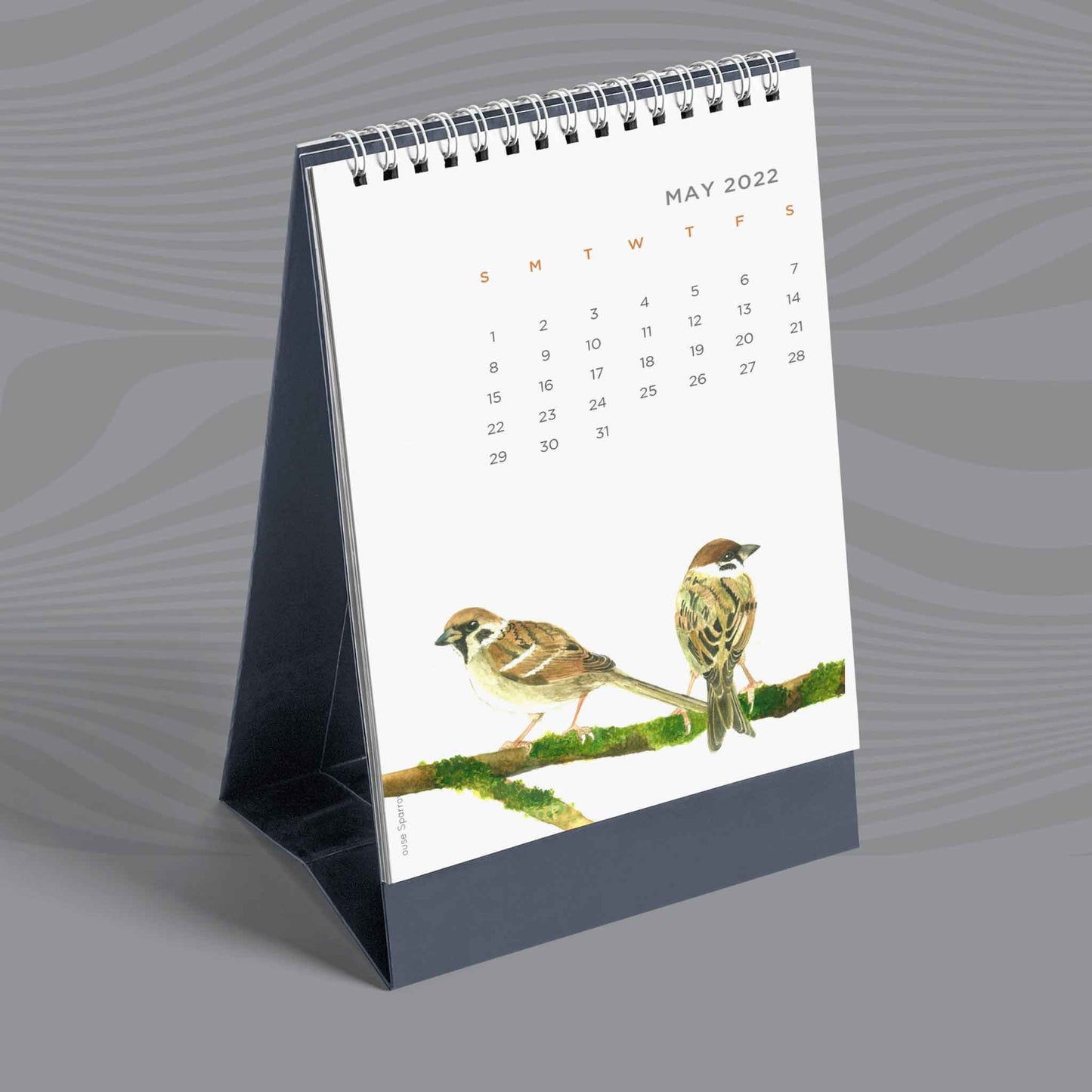 2022 calendar birds of india