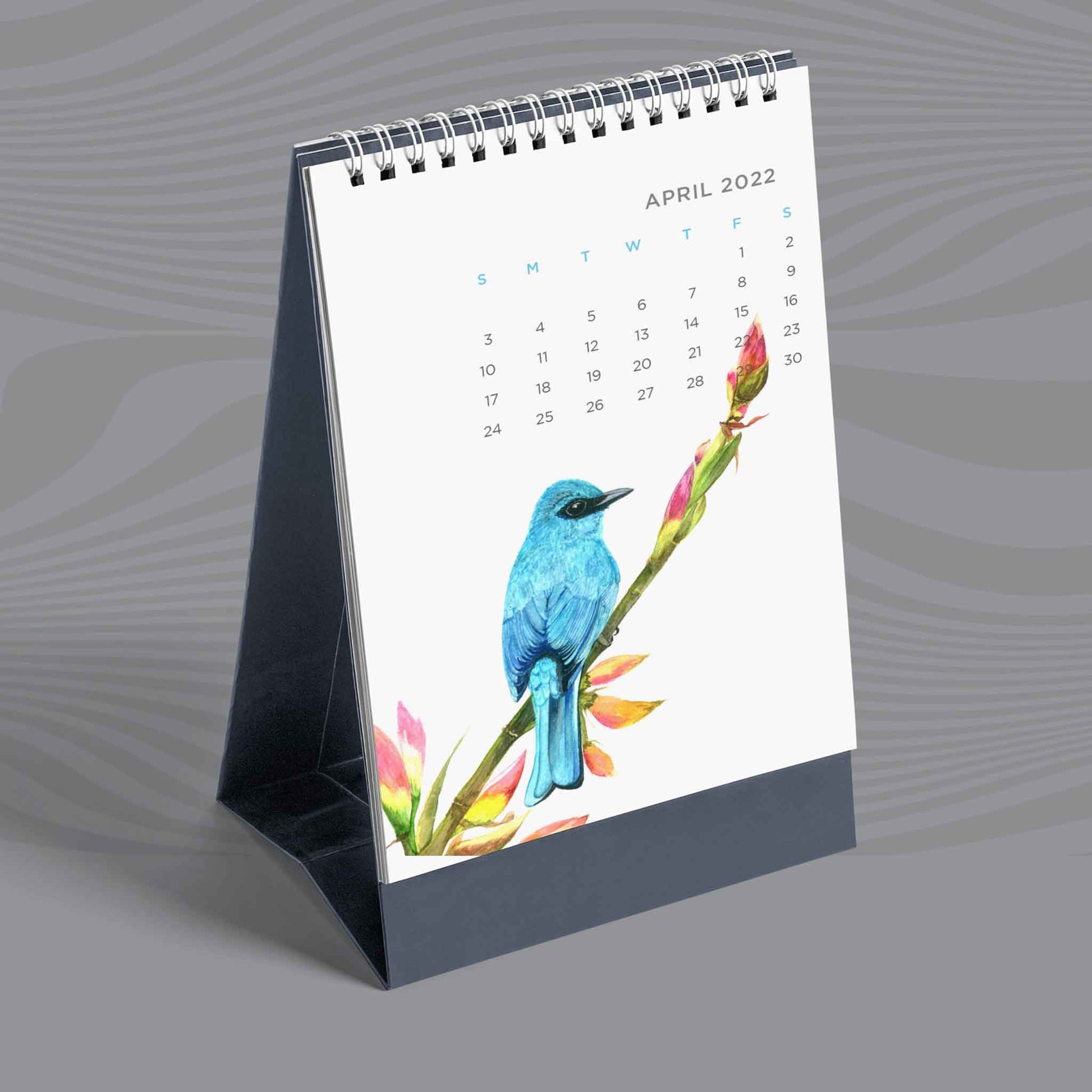 Studio Decorai Birds of India - 2022 Desk Calendar