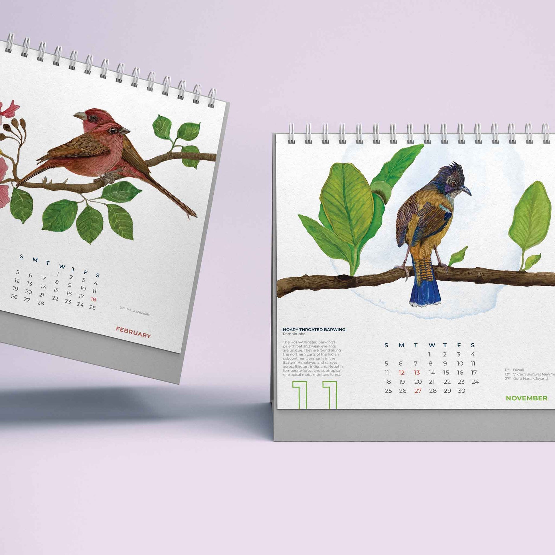 Studio Decorai Birds of India - 2023 Desk Calendar