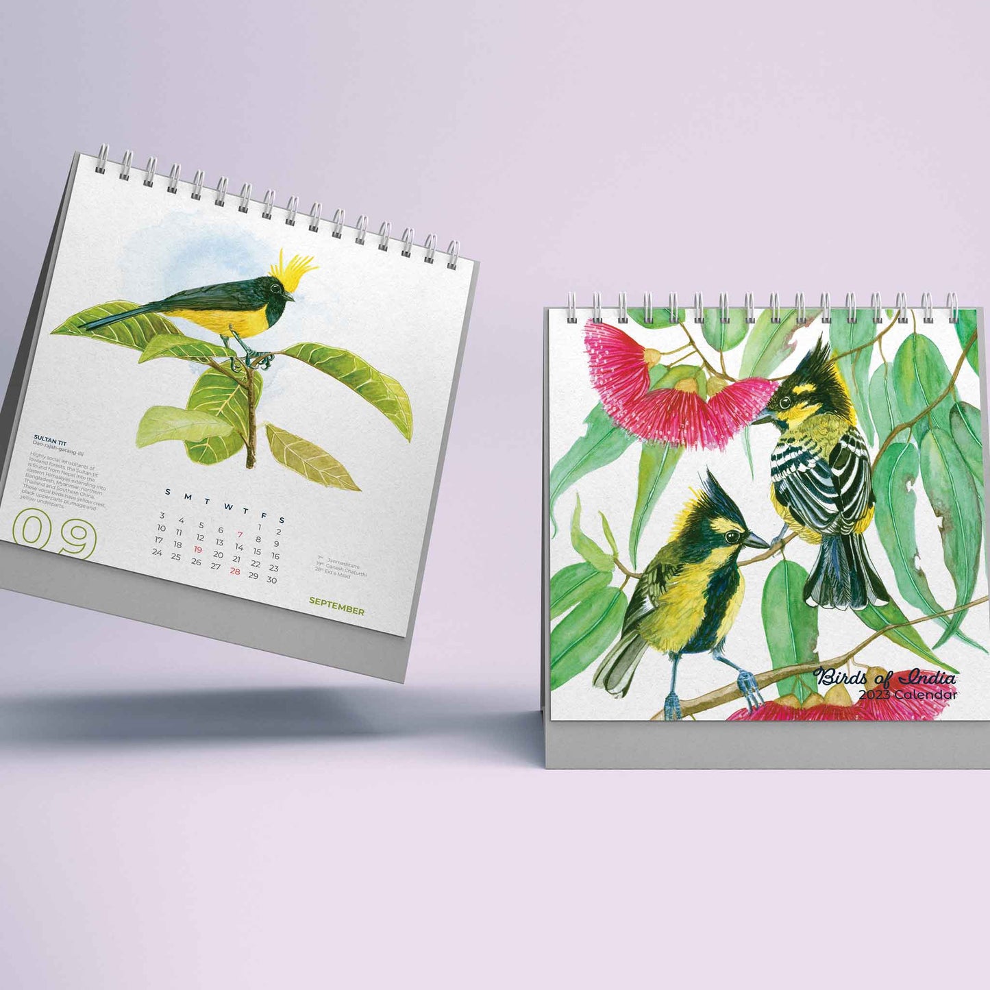 Studio Decorai Birds of India - 2023 Desk Calendar