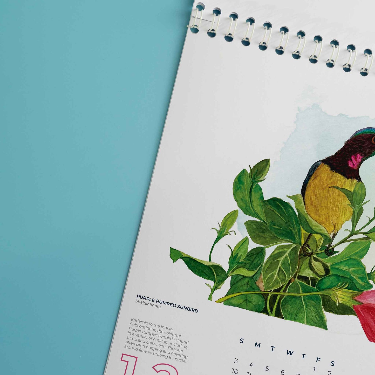 Studio Decorai Birds of India - 2023 Desk Calendar