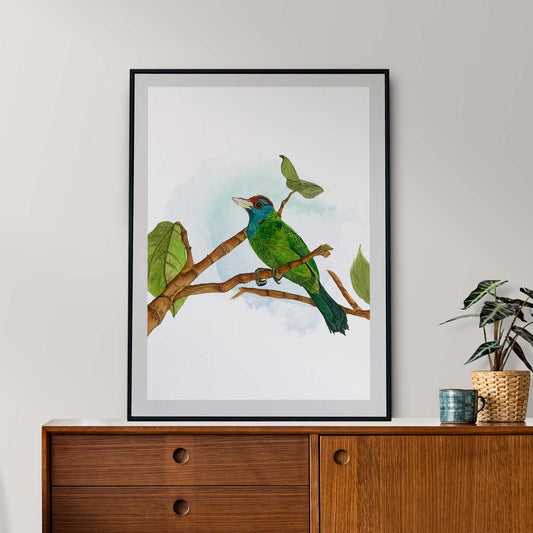 Studio Decorai Birds of India - Blue-throated Barbet - Art Prints