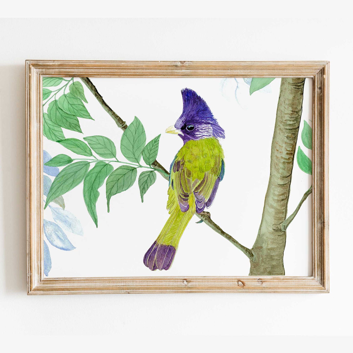 Studio Decorai Birds of India - Crested Finchbill - Art Prints