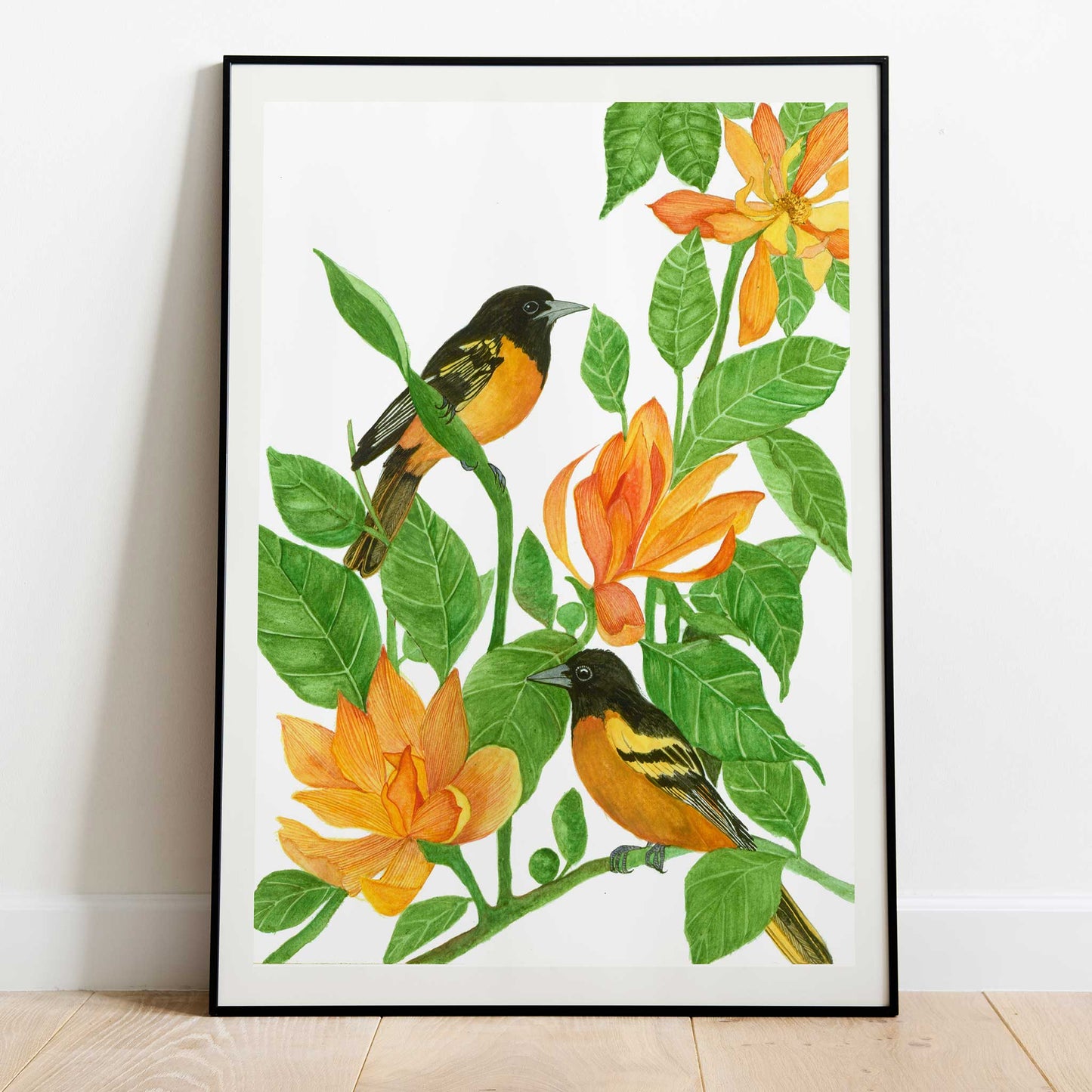 Studio Decorai Birds of India - Oriole - Art Prints