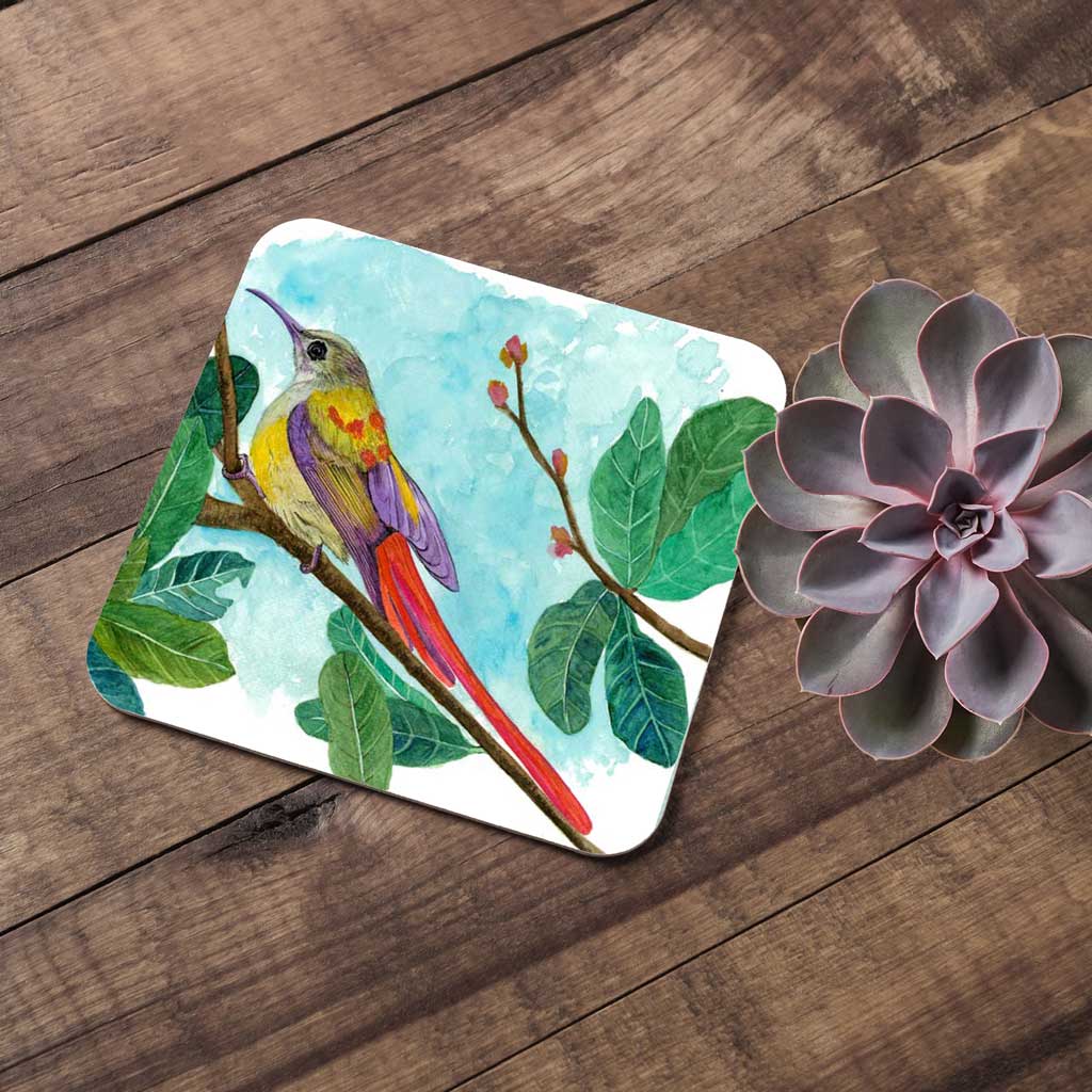 Studio Decorai Coasters Birds of India - Coasters (Set of 6)