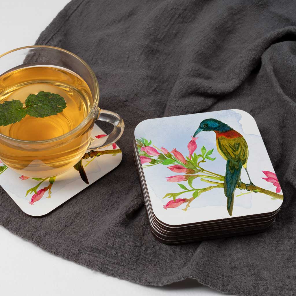 Studio Decorai Coasters More from Birds of India - Coasters (Set of 6)