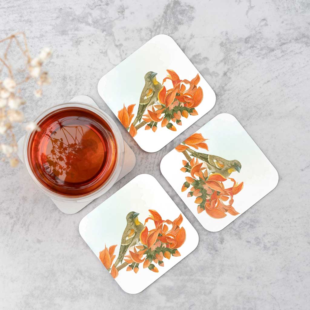 Studio Decorai Coasters More from Birds of India - Coasters (Set of 6)