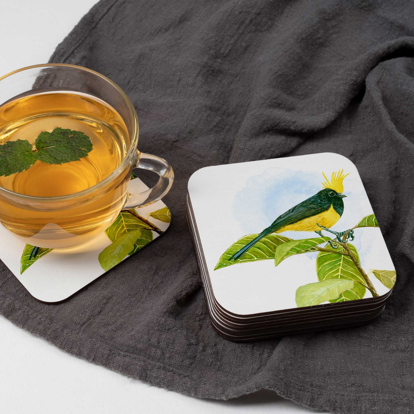 Studio Decorai Coasters More from Birds of India - Coasters (Set of 6)