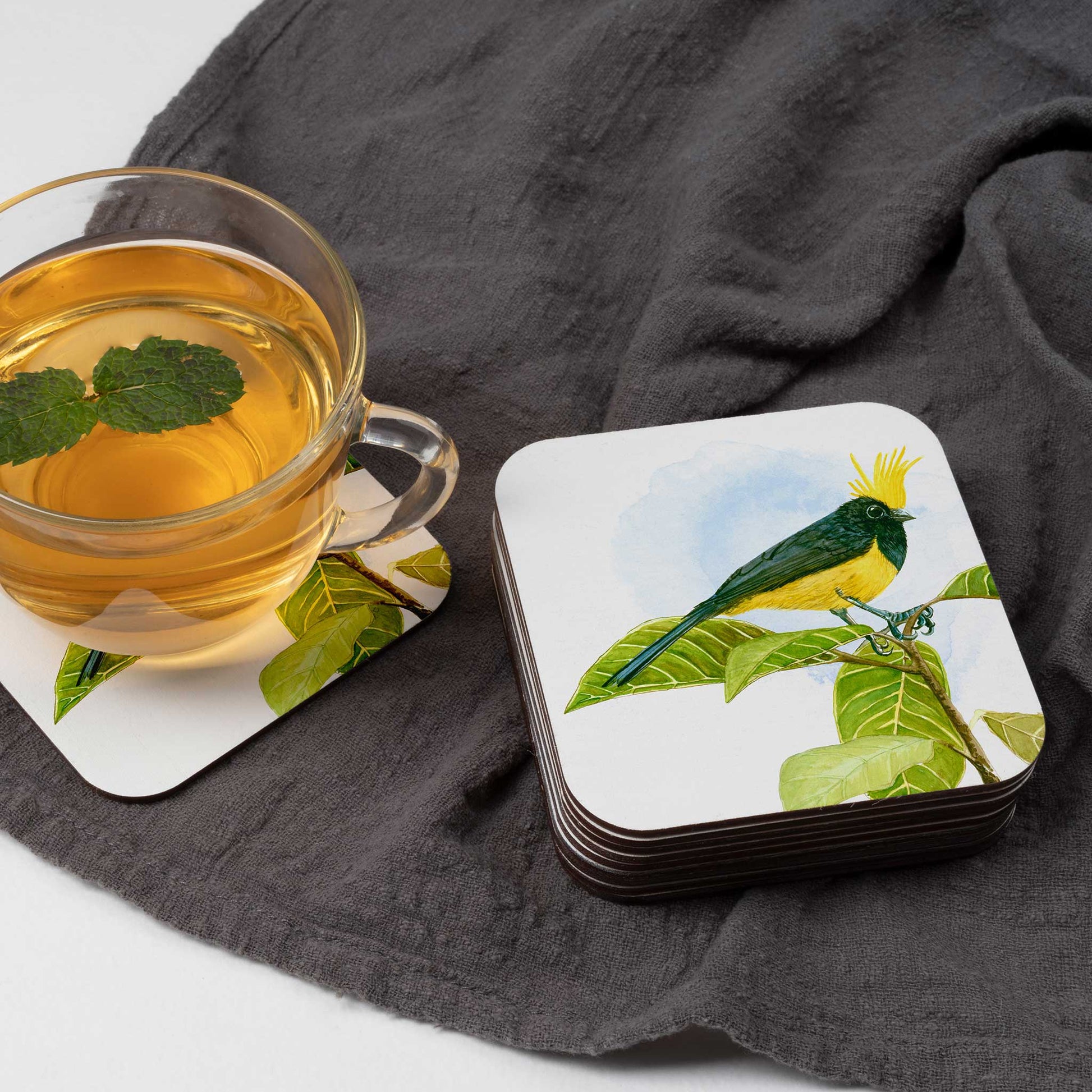 Studio Decorai Coasters More from Birds of India - Coasters (Set of 6)