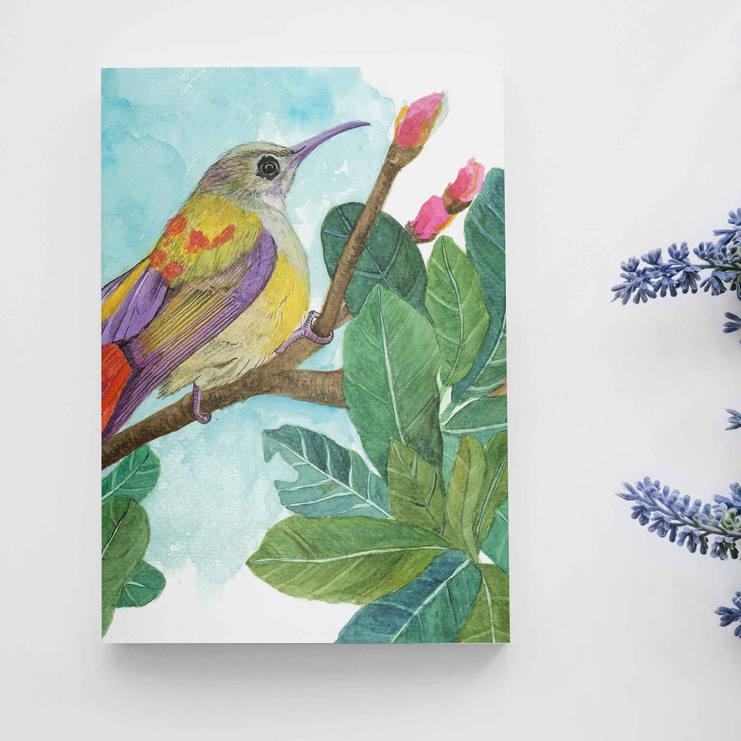 Studio Decorai Hard Back Notebooks Sunbird Song - Notebook