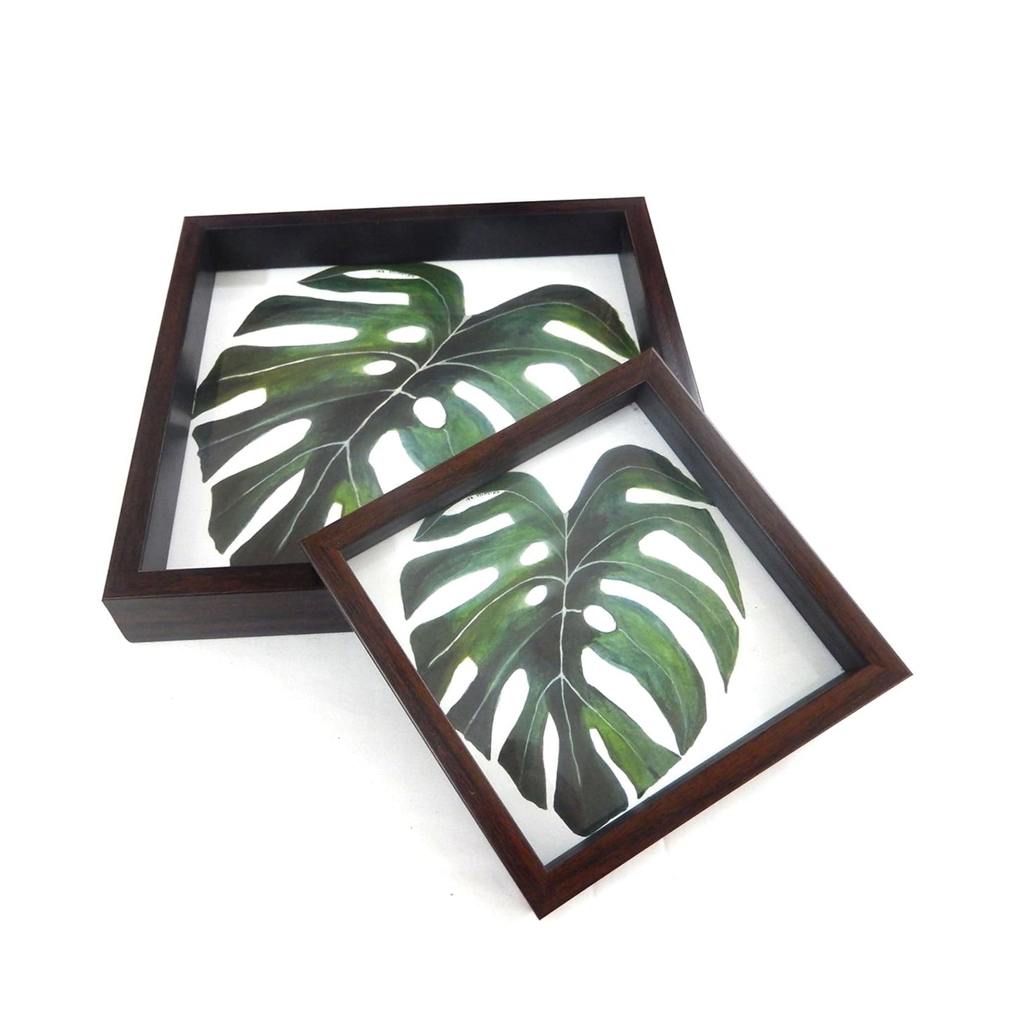 studio-decorai - Tropical Delight - Square Tray (Set of 2)