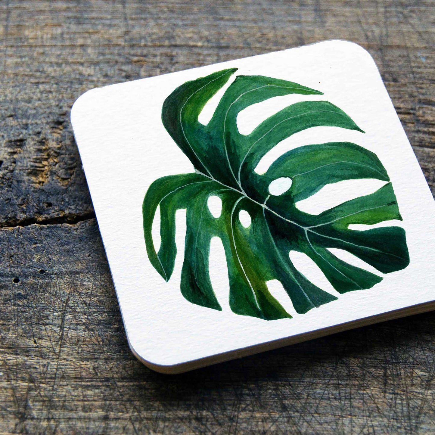 studio-decorai - Tropical Delight - Trivets (Set of 2)