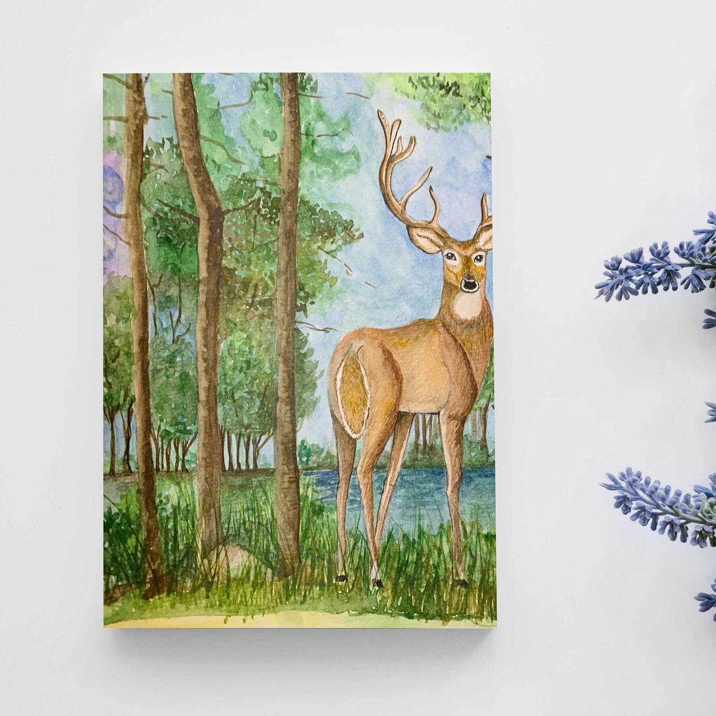 Studio Decorai Wild and Free - Notebook